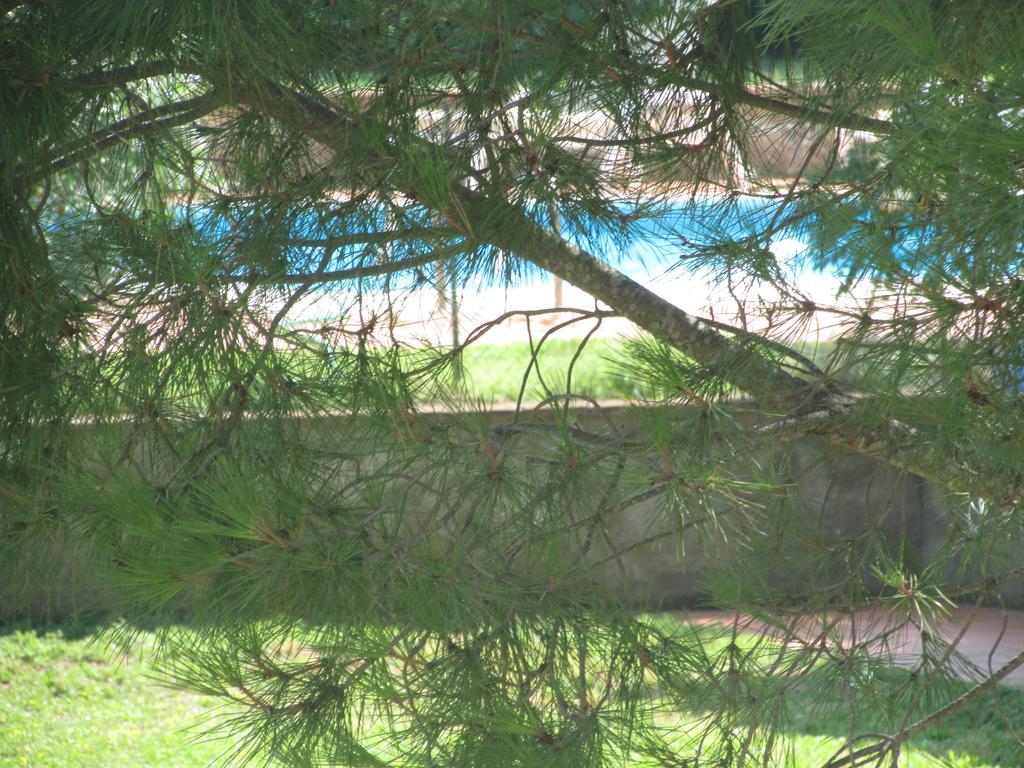 Azienda Agrituristica Allumiere Villa Campiglia Marittima Buitenkant foto