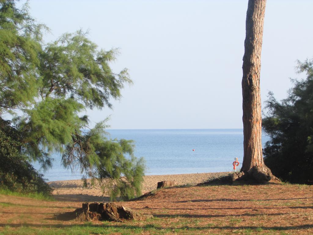Azienda Agrituristica Allumiere Villa Campiglia Marittima Buitenkant foto