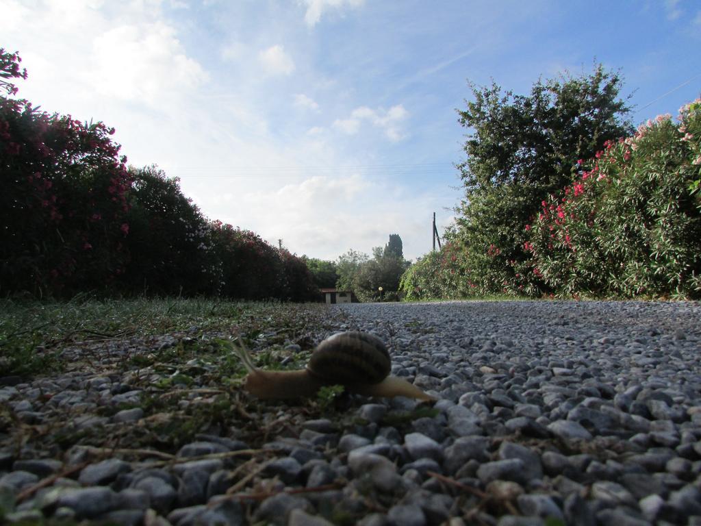 Azienda Agrituristica Allumiere Villa Campiglia Marittima Buitenkant foto