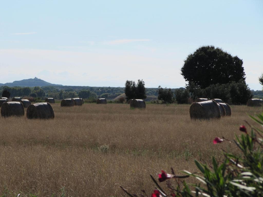 Azienda Agrituristica Allumiere Villa Campiglia Marittima Buitenkant foto