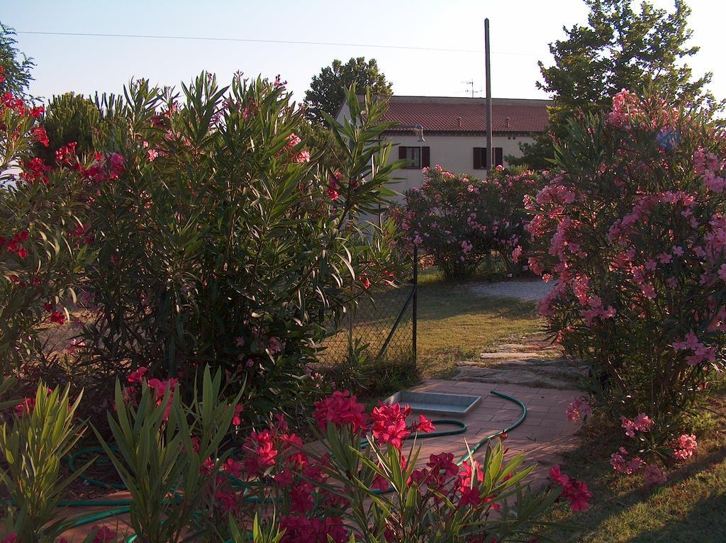 Azienda Agrituristica Allumiere Villa Campiglia Marittima Buitenkant foto