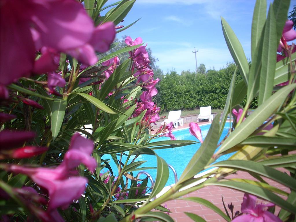 Azienda Agrituristica Allumiere Villa Campiglia Marittima Buitenkant foto